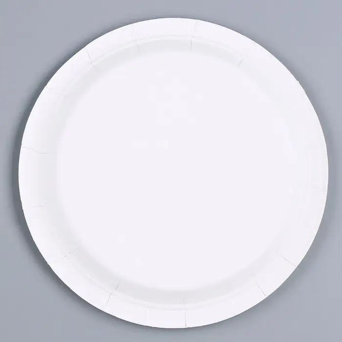 Тарелка бумажная «Смайл», в наборе 6 шт., цвет мятный