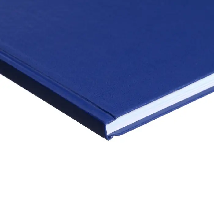 Книга учета А4, 96 листов, линия, 200&times;290 мм, обложка бумвинил, синий, блок офсетный