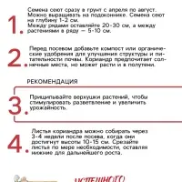 Семена Кориандр - кинза &laquo;Кин-Дза-Дза&raquo;, 2 г, &laquo;Рецепты дедушки Никиты&raquo;