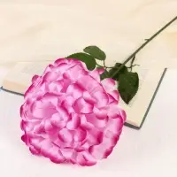 Цветы искусственные &laquo;Герань королевская&raquo;, 16&times;60 см, малиновые