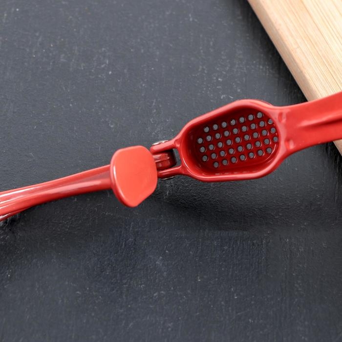 Пресс для чеснока Доляна «Краски», 16 см, цвет МИКС Пресс для чеснока Доляна «Краски», 16 см, цвет МИКС