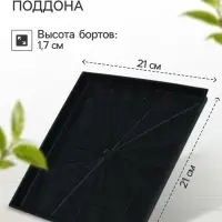 Поддон для рассады, 21×21×1.7 см, пластик, чёрный