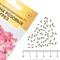 Семена Цветов Петуния крупноцветковая &laquo;Долина Розовых Грез F1&raquo;, 10 драже