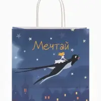 Пакет подарочный &laquo;Мечтай&raquo;, Союзмультфильм, 22&times;22&times;11 см