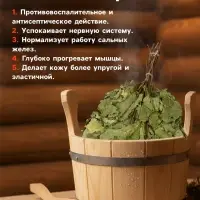 Веник для бани, дубовый