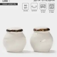 Набор для специй Magistro Alpine Frost, 2 предмета: перечница, солонка, 80 мл, 5&times;6 см, фарфор, белый