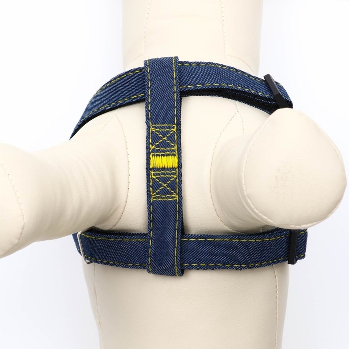 Шлейка Шлейка "Джинс", чёрный подклад, ширина 2 см, ОШ 45-70 см, ОГ 45-70 см