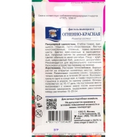 Семена цветов Фасоль "Вьющаяся", огненно-красная, 5 г