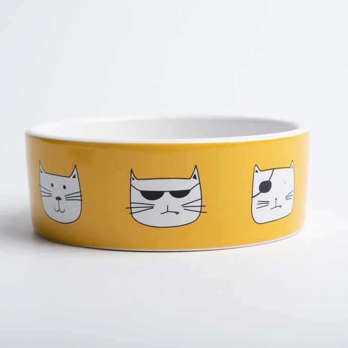 Миска керамическая  Миска керамическая "Опасные коты" 230 мл  12,5 x 4,5 cм, бело-оранжевая