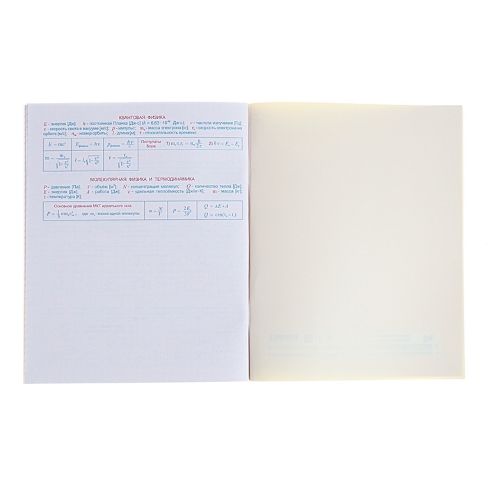 Тетрадь предметная Тетрадь предметная "Домино", 48 листов в клетку, "Физика", обложка пластиковая, блок офсет