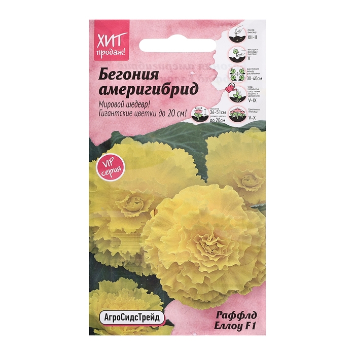 Семена цветов Бегония  Семена цветов Бегония "Америгибрид Раффлд Еллоу F1", 5 шт