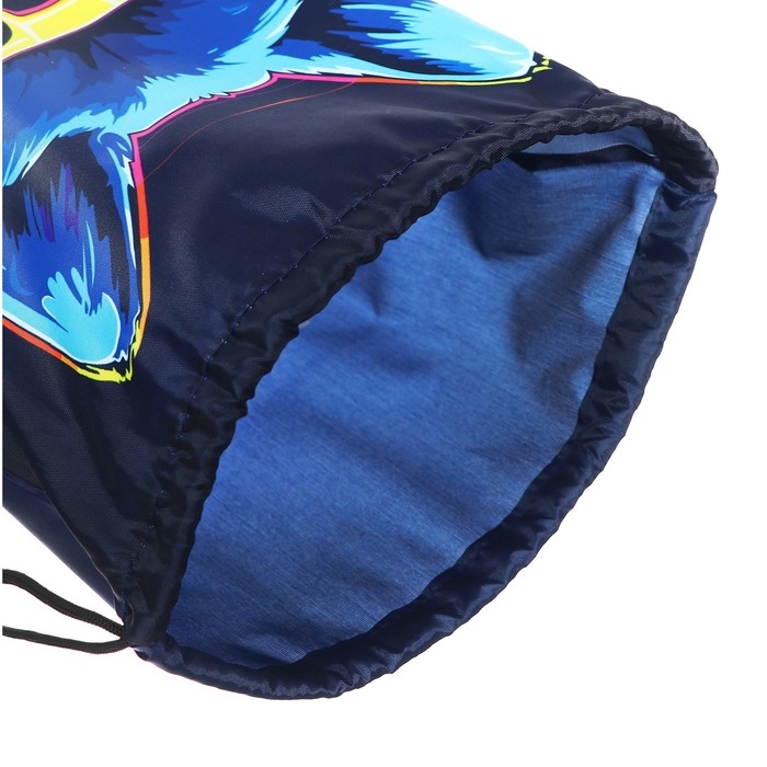 Мешок для обуви 420 х 340 мм, Calligrata МСО-5С, (мягкий полиэстер, плотность 210D),  Мешок для обуви 420 х 340 мм, Calligrata МСО-5С, (мягкий полиэстер, плотность 210D), "Собака в очках"