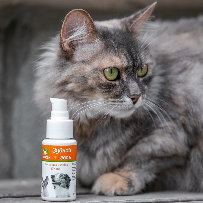 Зубной гель  Зубной гель "Пижон"  для кошек и собак, ферменты и прополис, 50 мл