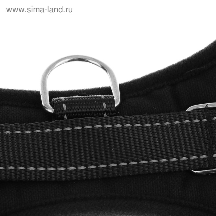 Шлейка К7 мягкая светоотражающая, размер XL, ОГ 74-92 см, вес 28-47,5 кг, черная Шлейка К7 мягкая светоотражающая, размер XL, ОГ 74-92 см, вес 28-47,5 кг, черная