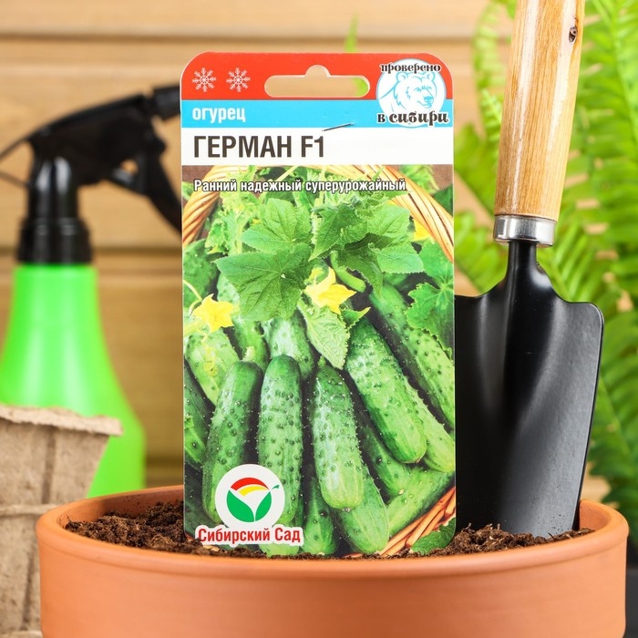 Семена Огурец Герман F1, партенокарпический, 5 шт Семена Огурец Герман F1, партенокарпический, 5 шт