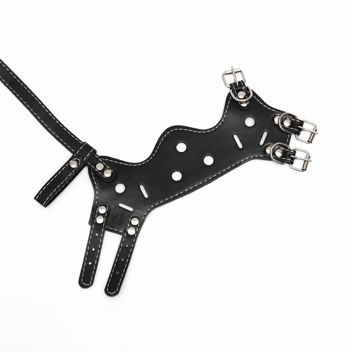 Намордник из прессованной кожи регулируемый, №2, ДН 5 см, ОМ 15-22 см, чёрный Намордник из прессованной кожи регулируемый, №2, ДН 5 см, ОМ 15-22 см, чёрный