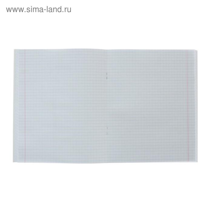 Тетрадь 96 листов в клетку Calligrata "Кошачьи радости", обложка мелованный картон, блок офсет, МИКС