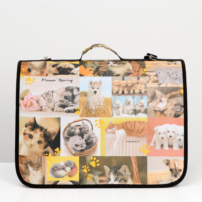 Сумка - переноска для животных с принтом, 49 х 30 х 35 см микс Сумка - переноска для животных с принтом, 49 х 30 х 35 см микс