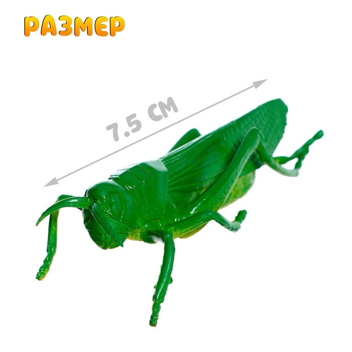 Набор животных насекомых «Природа», МИКС Набор животных насекомых «Природа», МИКС