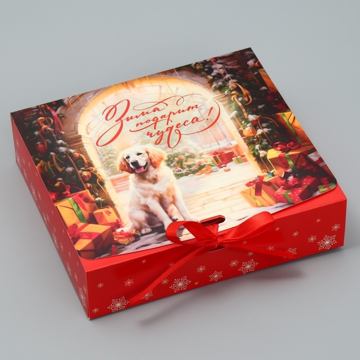 Коробка подарочная новогодняя складная двухсторонняя «Зима подарит чудеса», 20 х 18 х 5 см, Новый год Коробка подарочная новогодняя складная двухсторонняя «Зима подарит чудеса», 20 х 18 х 5 см, Новый год