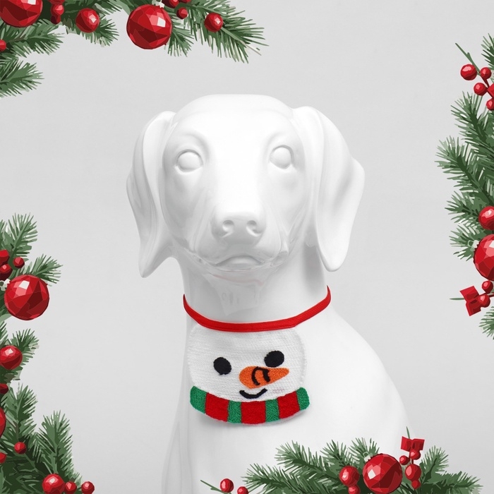 Воротник для животных  Воротник для животных "Снеговик" (ОШ до 65 см)