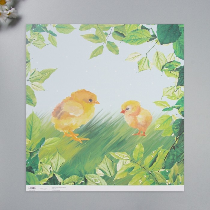 Бумага для скрапбукинга Бумага для скрапбукинга "Цыплята на траве" плотность 180 гр набор 5 шт 30,5х32 см