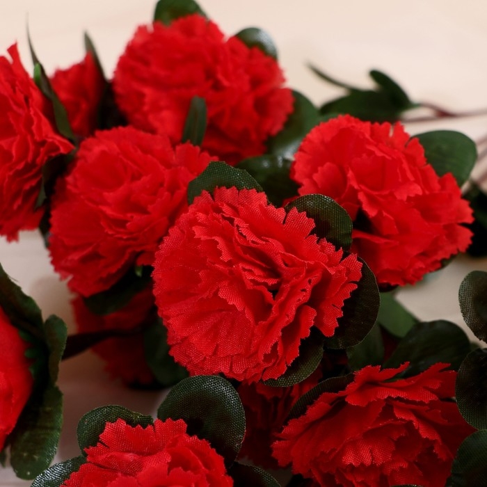 Букет Букет "Гвоздика Тереза" 4х33 см, микс