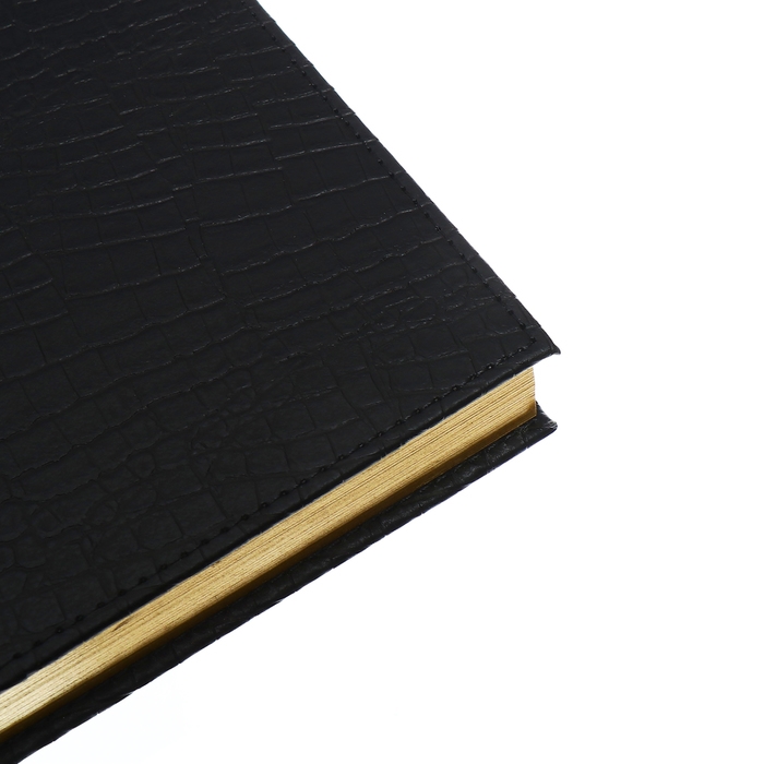 Ежедневник полудатированный, А5, 192 листа, линейка, обложка кожзам, золотой срез  Ежедневник полудатированный, А5, 192 листа, линейка, обложка кожзам, золотой срез "Крокодил", черный