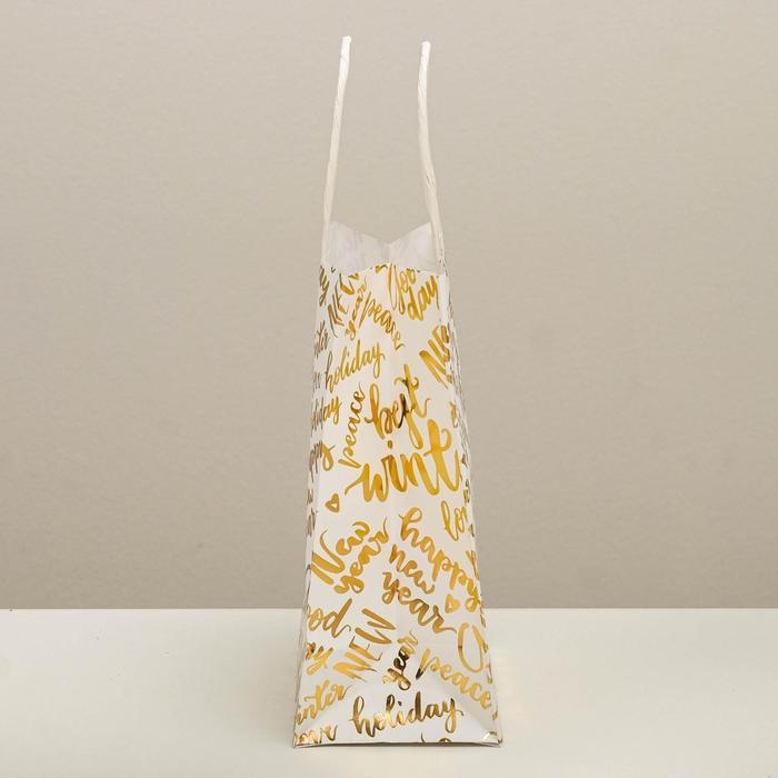 Пакет подарочный новогодний крафтовый &laquo;Best winter&raquo;, 12 х 21 х 9 см, Новый год