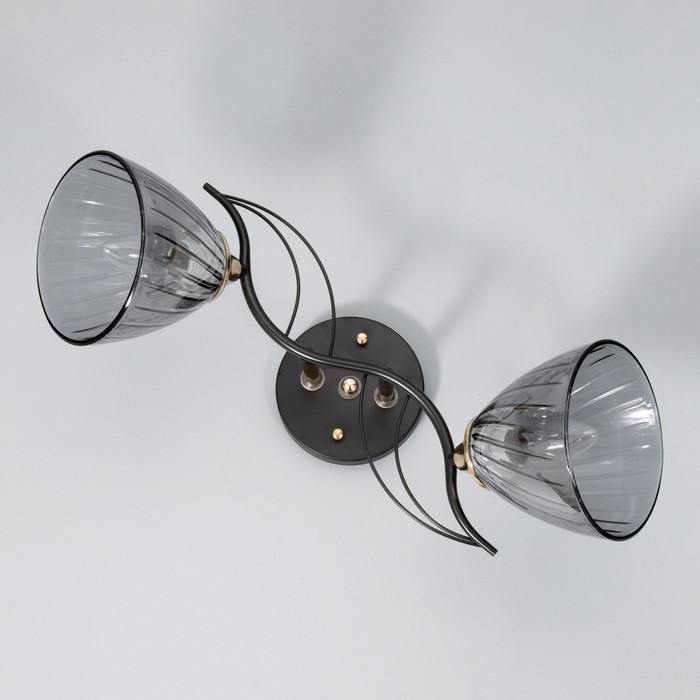 Люстра Люстра "Сальма" 2хЕ27 40Вт черный 48х18х24см BayerLux