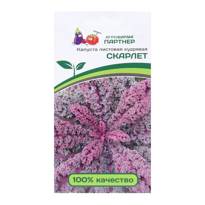 Семена Капуста листовая кудрявая  Семена Капуста листовая кудрявая "Скарлет", 0,3 г