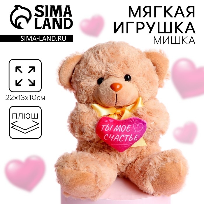 Мягкая игрушка «Ты - моё счастье», медведь, 22 см, МИКС Мягкая игрушка «Ты - моё счастье», медведь, 22 см, МИКС