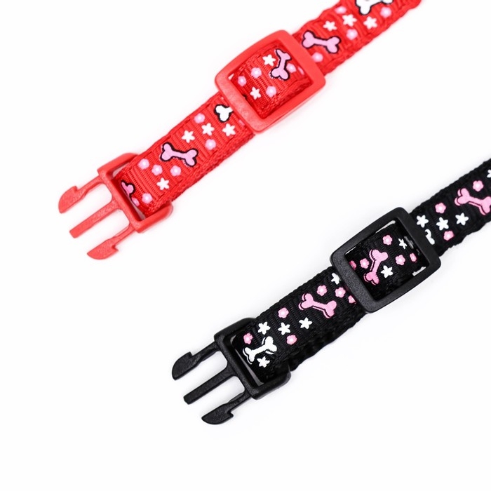 Ошейник двухслойный с фастексом Ошейник двухслойный с фастексом "Звездные косточки", 30 х 1 см, микс цветов