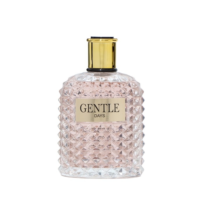 Туалетная вода мужская Vaalation Urmo, 100 мл Туалетная вода мужская Vaalation Urmo, 100 мл