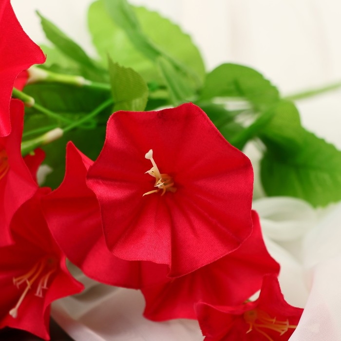 Букет Букет "Петуния" 5х30 см, микс