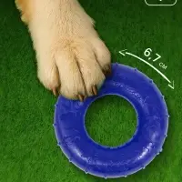 Жевательная игрушка для собак &laquo;Кольцо&raquo;, 6.7&times;2 см, прозрачная, PP, синяя