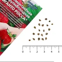 Семена Земляника &laquo;Гиганто Росса&raquo;, 10 шт., ремонтантная, крупноплодная, &laquo;Уральский дачник&raquo;