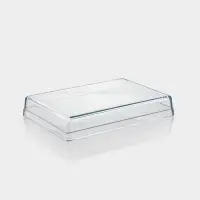 Форма для выпечки и запекания Paşabah&ccedil;e Borcam, 36.7&times;25.7&times;6 см, жаропрочное стекло, прозрачная