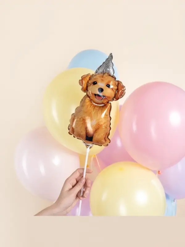 Воздушный шар фольгированный 17" &laquo;Пёсик в колпачке&raquo;, набор 5 шт.