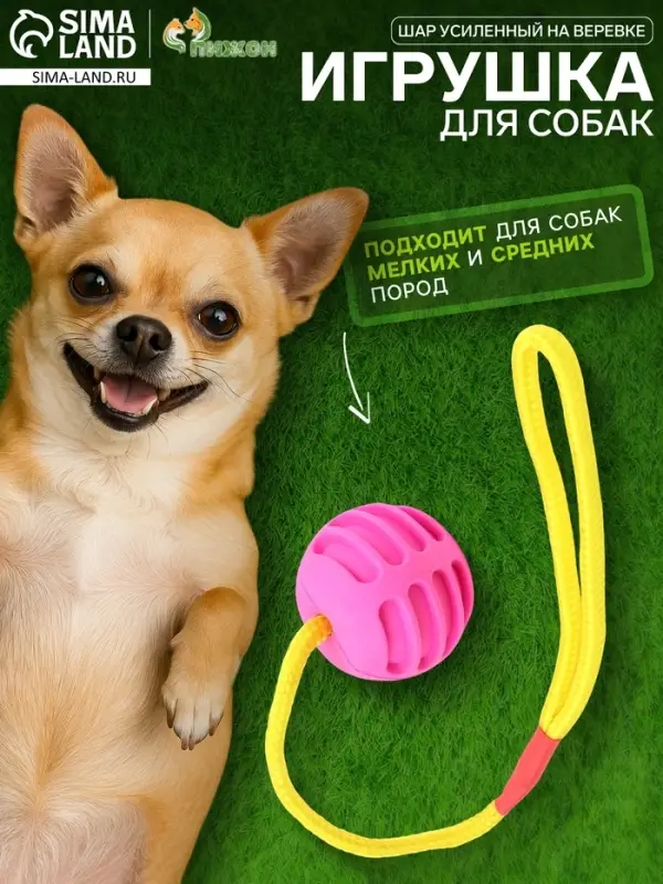 Игрушка &laquo;Шар усиленный на веревке&raquo;, 43 см, шар 6 см, розовый