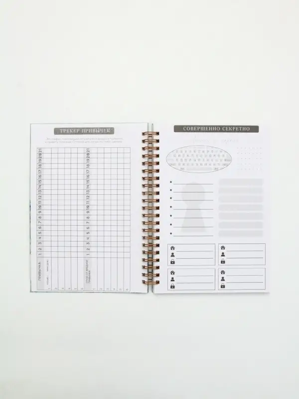 Дневник осознанности в тв. обл. А5, 86 л Дневник осознанности в тв. обл. А5, 86 л "Ты можешь всё"