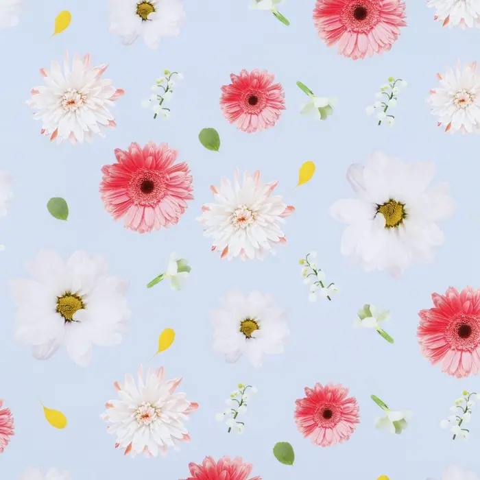 Бумага упаковочная глянцевая «Ромашки», 70 х 100 см