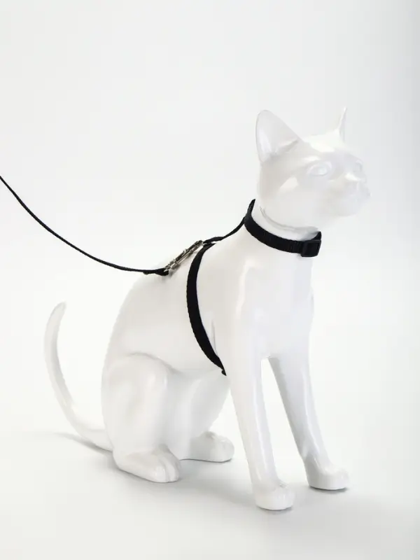 Комплект для кошек, ширина 1 см, ОШ 16.5-27 см, ОГ 21-35 см, поводок 120 см, чёрный