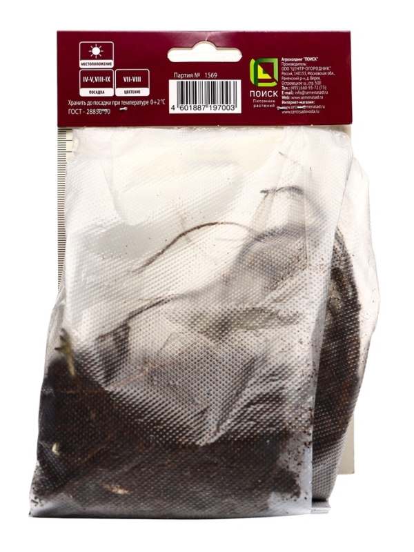 Лапчатка гибридная Монарх Вельвет, р-р I, 1 шт, Весна 2025