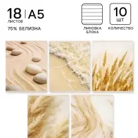 Тетрадь 10 штук, 18 листов в линейку Calligrata &laquo;Бежевая серия&raquo;, серые листы, блок №2, 5 видов