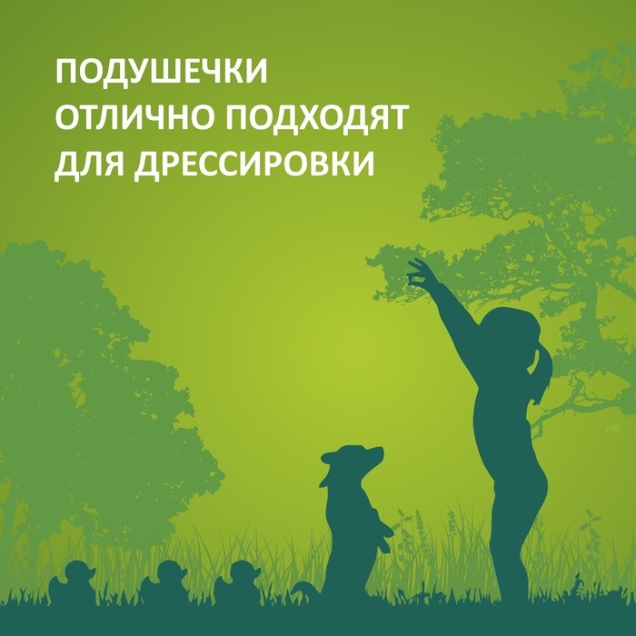 Подушечки глазированные TitBit  Подушечки глазированные TitBit "Золотая коллекция" для собак, с начинкой из телятины, 100 г