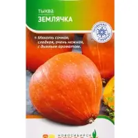 Семена Тыква "Землячка" 3 шт Семена Тыква "Землячка" 3 шт