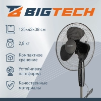 Вентилятор BigTech DWBF001,напольный,черный
