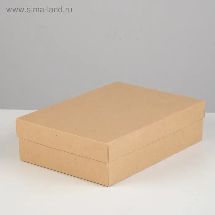 Коробка картонная без окна, крафт, 21 х 15 х 5 см Коробка картонная без окна, крафт, 21 х 15 х 5 см