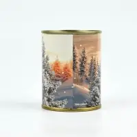 Копилка-банка металл «Зима подарит», 7.5×9.5 см